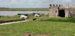 The archeological remains of Fort Frederica