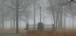 The 1856 Washington Light Infantry Monument in fog in 2009.