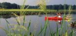 A kayaker paddles on the Patuxent River at the Jug Bay Natural Area. Photo by Middleton Evans.